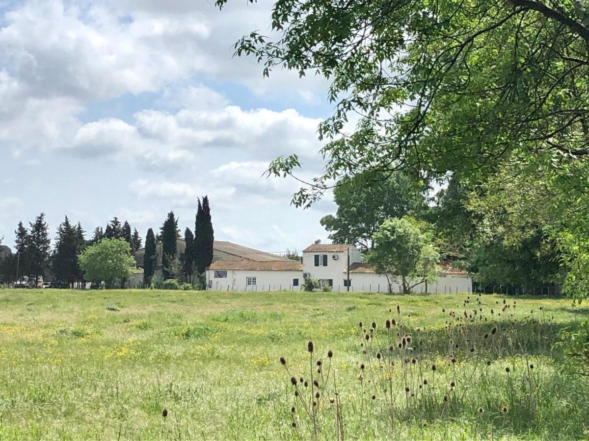 Villa Mas Du Pont De Laute Le Cailar Exterior foto